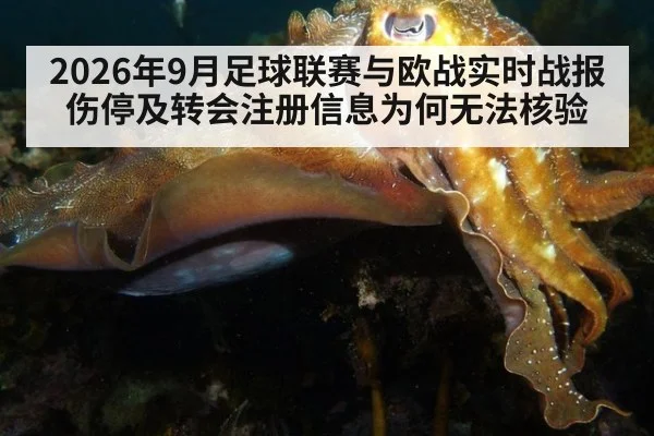 2026年9月足球联赛与欧战实时战报伤停及转会注册信息为何无法核验