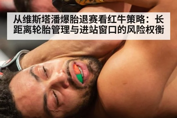 从维斯塔潘爆胎退赛看红牛策略：长距离轮胎管理与进站窗口的风险权衡